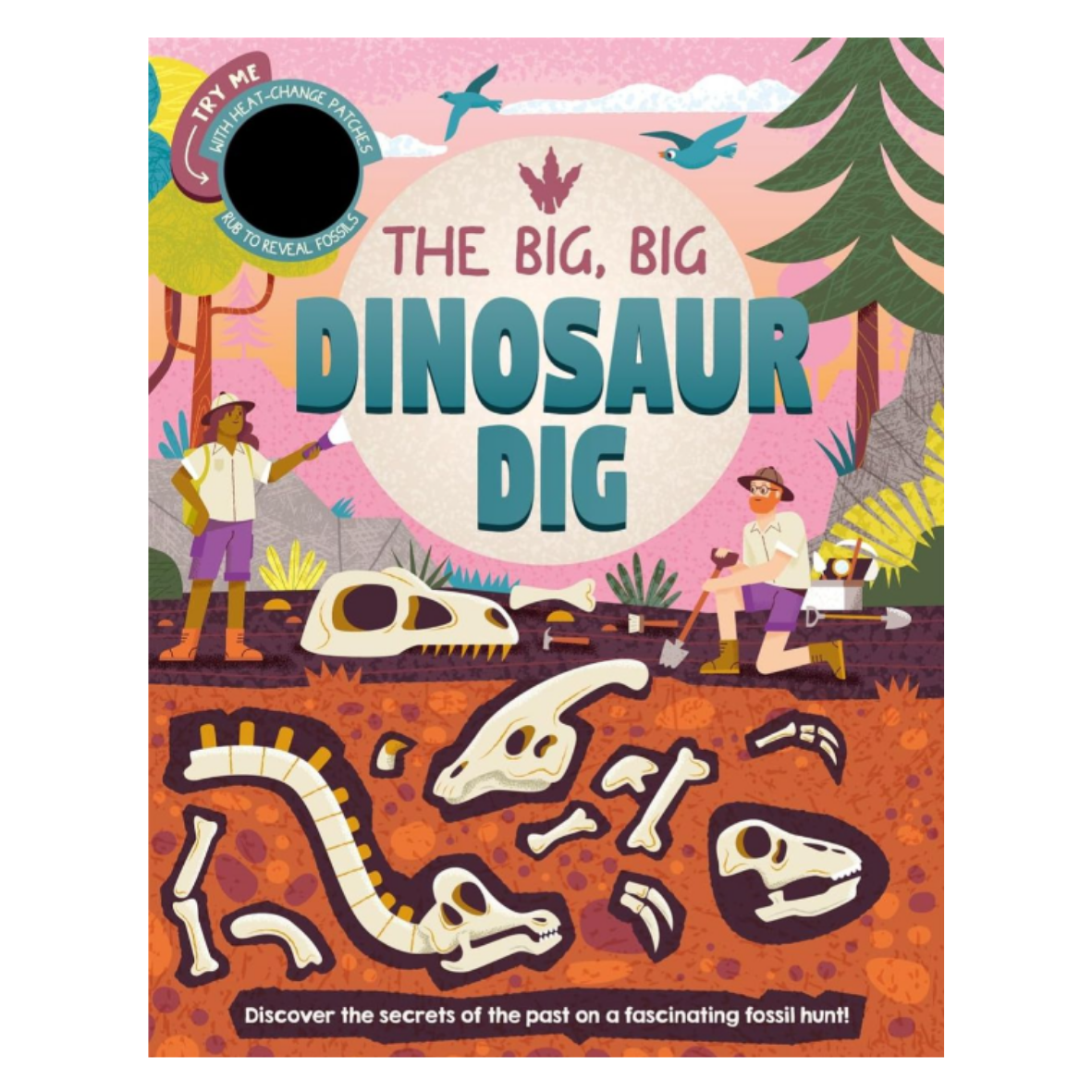 The Big, Big Dinosaur Dig Book(Hardcover)