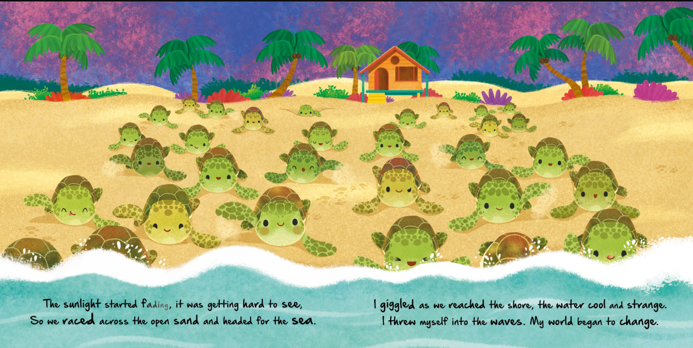 Igloo Books - Nature Stories - Little Turtle