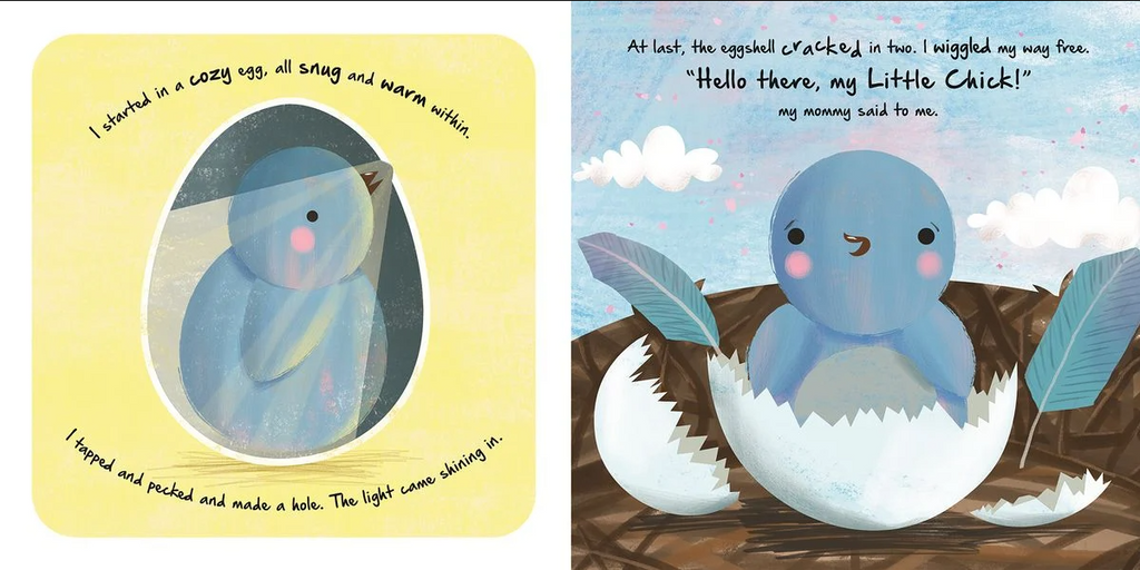 Igloo Books - Nature Stories - Little Chick
