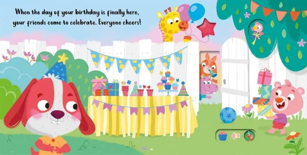 It's My Birthday Book(Boardbook)