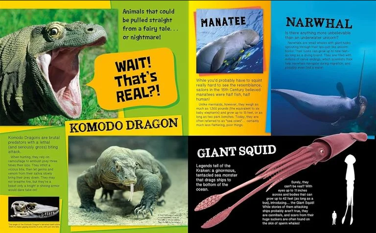 The Totally Incredible Book of Unbelievable Facts(Hardcover)