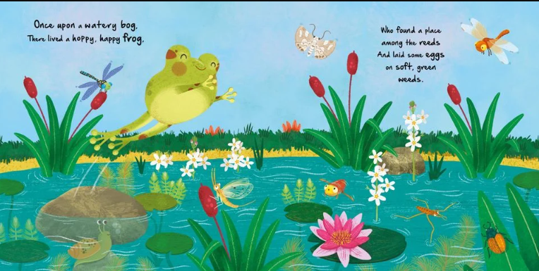 Igloo Books - Nature Stories - Little Frog
