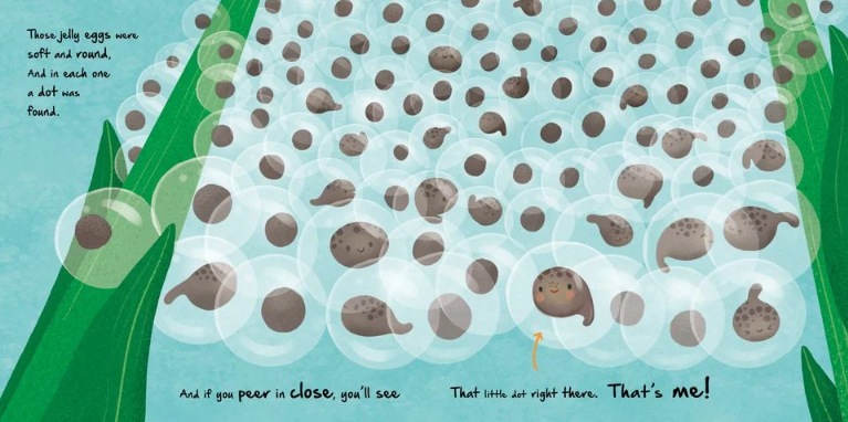Igloo Books - Nature Stories - Little Frog