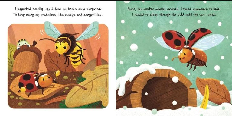 Igloo Books - Nature Stories - Little Ladybird